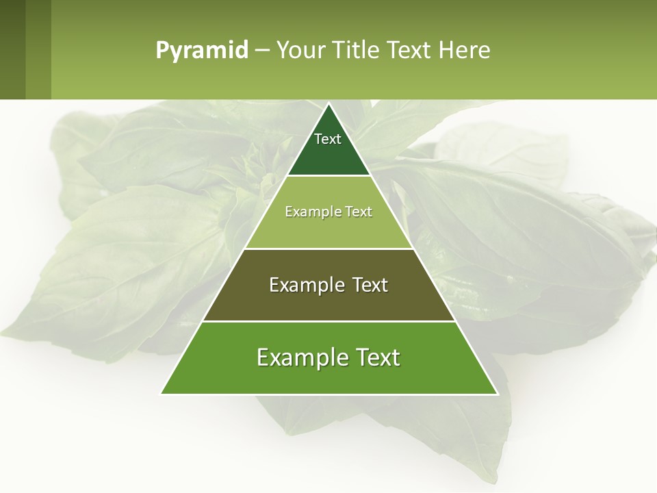 A Pile Of Fresh Basil Leaves On A White Background PowerPoint Template