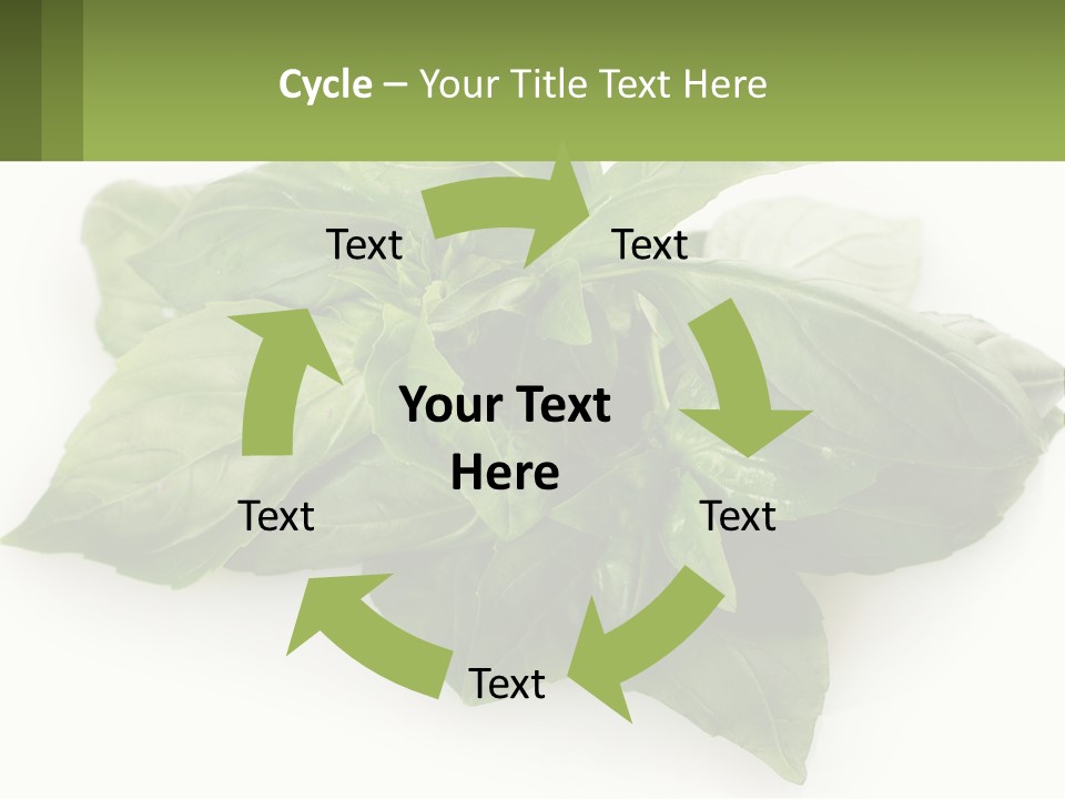 A Pile Of Fresh Basil Leaves On A White Background PowerPoint Template