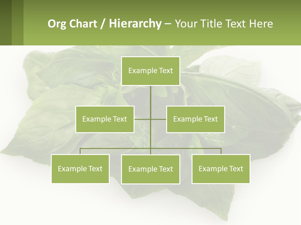 A Pile Of Fresh Basil Leaves On A White Background PowerPoint Template