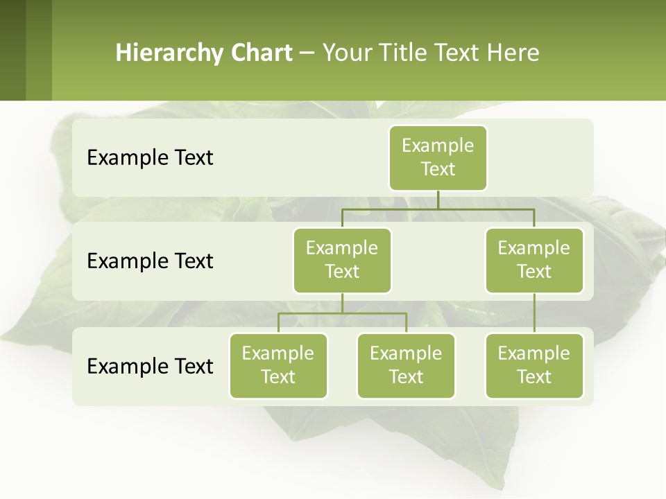 A Pile Of Fresh Basil Leaves On A White Background PowerPoint Template