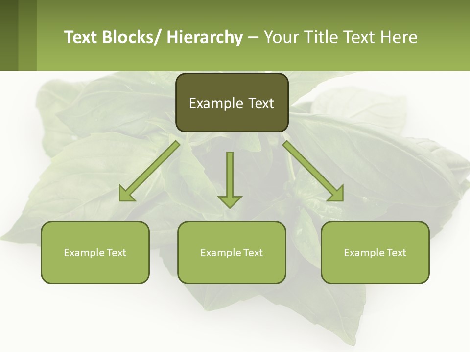 A Pile Of Fresh Basil Leaves On A White Background PowerPoint Template