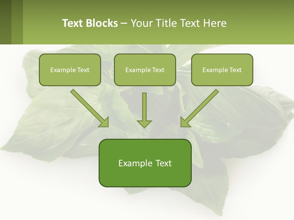 A Pile Of Fresh Basil Leaves On A White Background PowerPoint Template