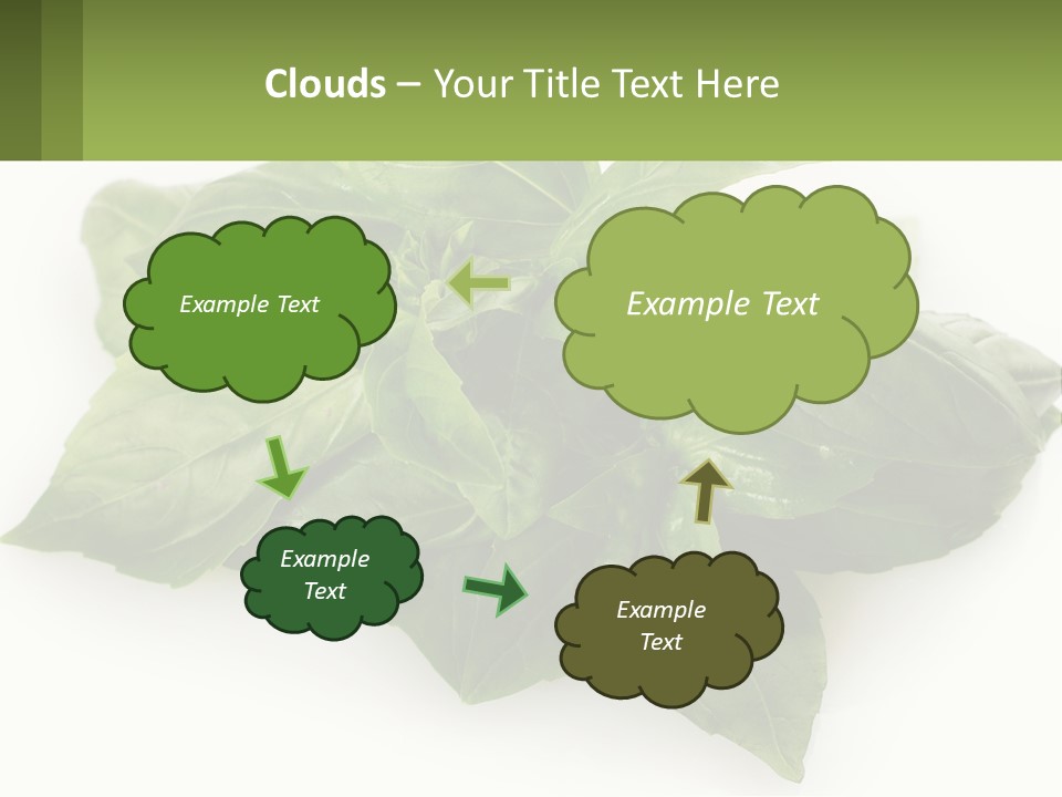 A Pile Of Fresh Basil Leaves On A White Background PowerPoint Template