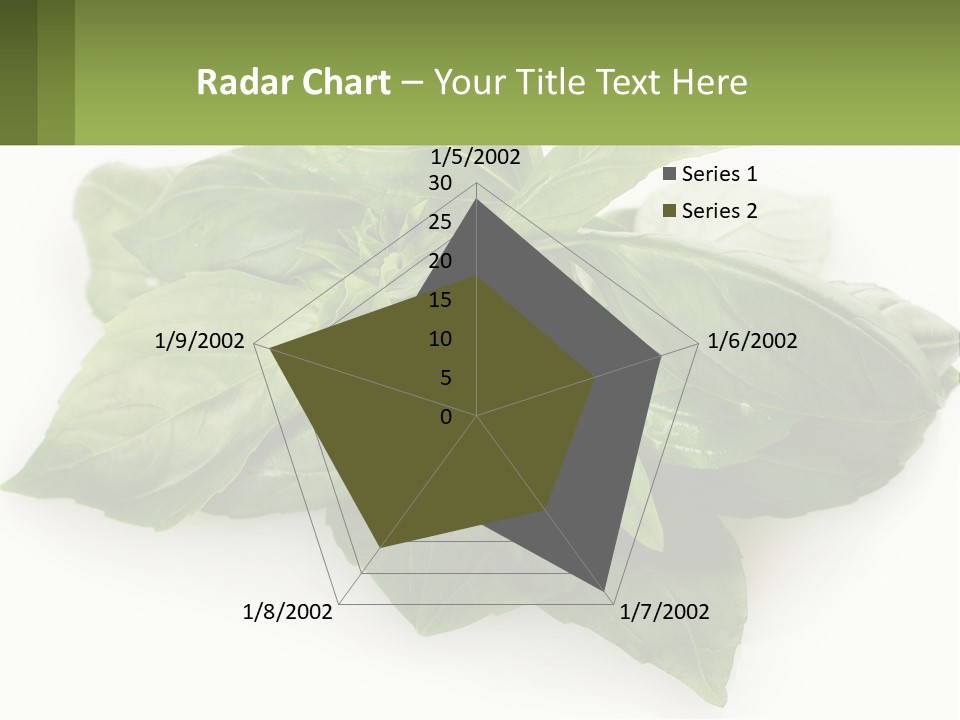 A Pile Of Fresh Basil Leaves On A White Background PowerPoint Template