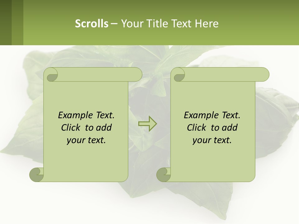 A Pile Of Fresh Basil Leaves On A White Background PowerPoint Template