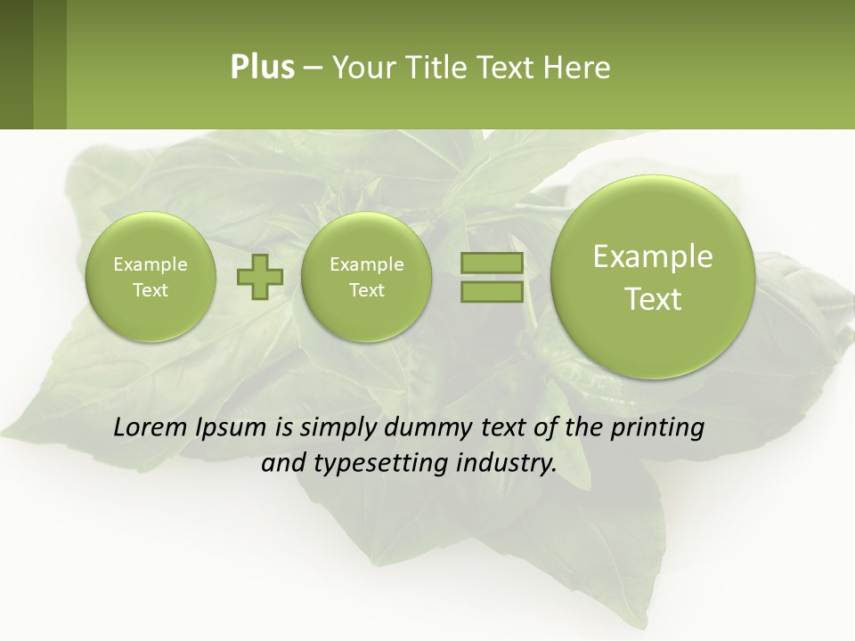A Pile Of Fresh Basil Leaves On A White Background PowerPoint Template