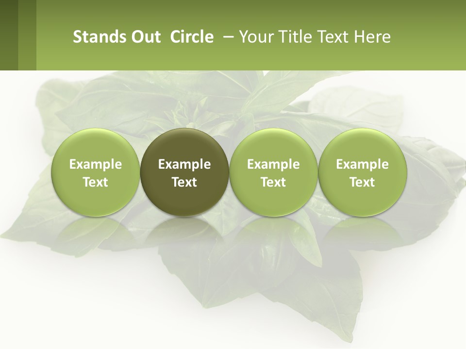 A Pile Of Fresh Basil Leaves On A White Background PowerPoint Template