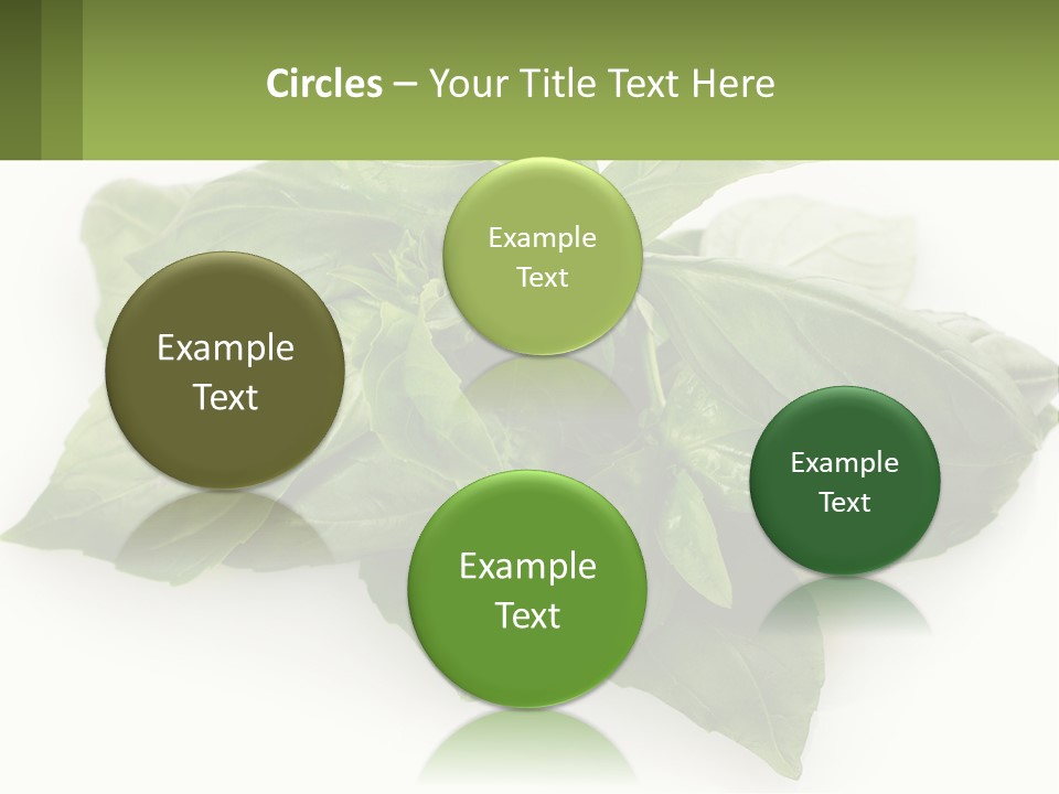 A Pile Of Fresh Basil Leaves On A White Background PowerPoint Template