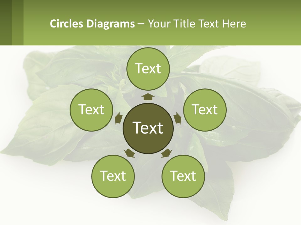 A Pile Of Fresh Basil Leaves On A White Background PowerPoint Template