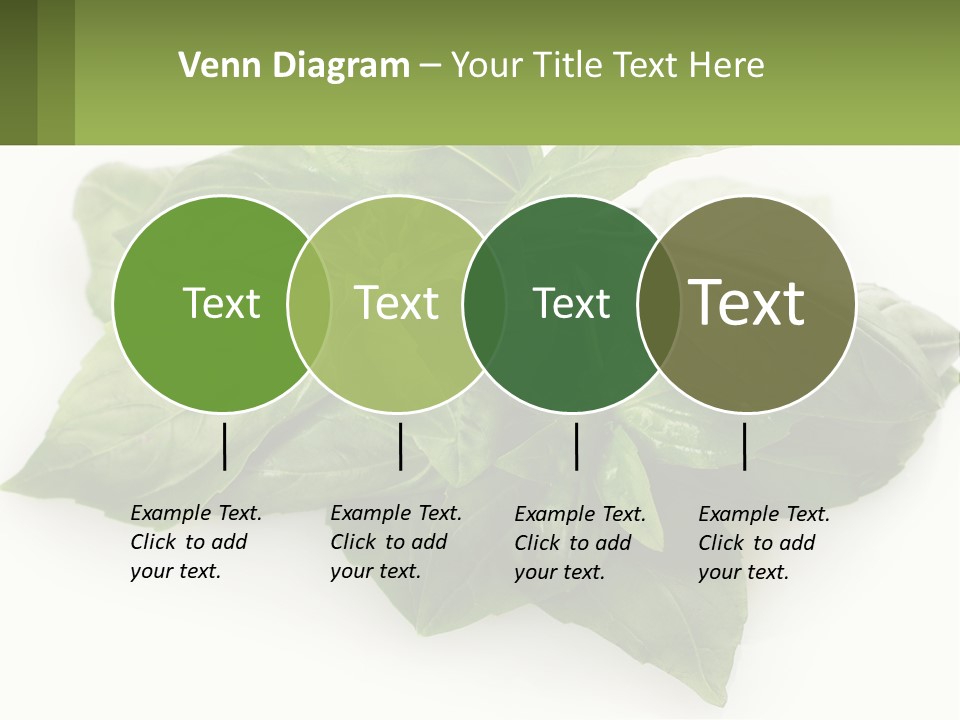 A Pile Of Fresh Basil Leaves On A White Background PowerPoint Template