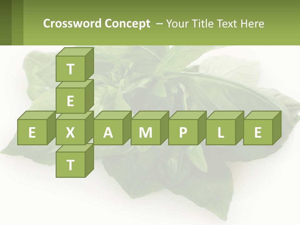 A Pile Of Fresh Basil Leaves On A White Background PowerPoint Template