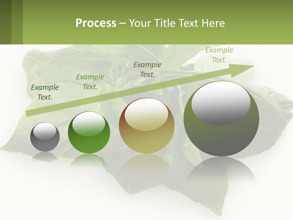 A Pile Of Fresh Basil Leaves On A White Background PowerPoint Template