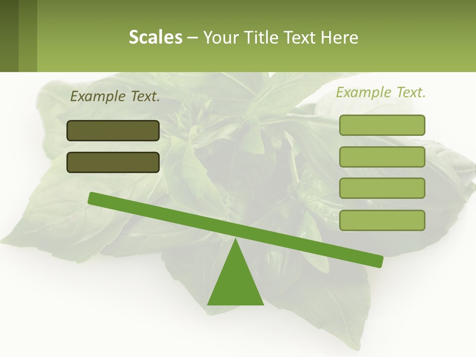 A Pile Of Fresh Basil Leaves On A White Background PowerPoint Template