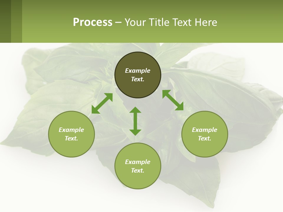 A Pile Of Fresh Basil Leaves On A White Background PowerPoint Template