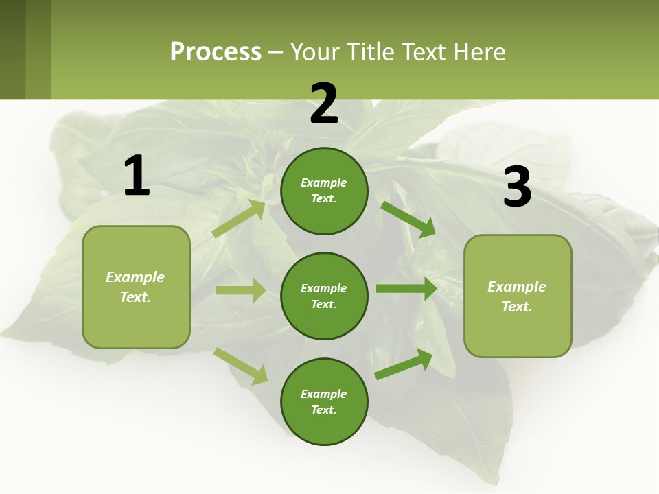 A Pile Of Fresh Basil Leaves On A White Background PowerPoint Template