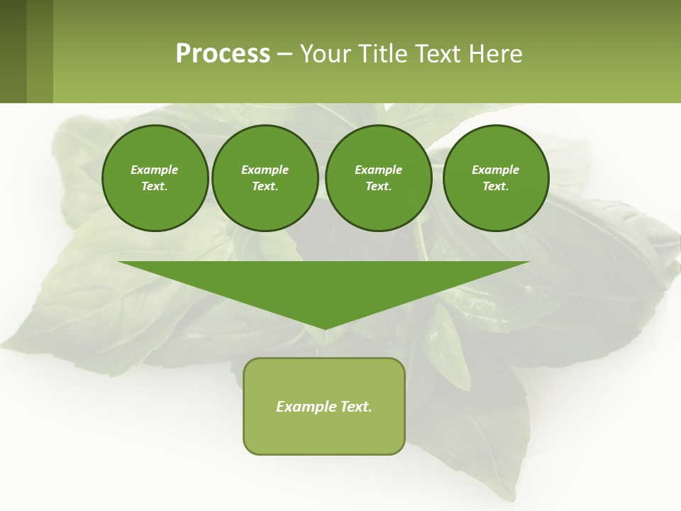 A Pile Of Fresh Basil Leaves On A White Background PowerPoint Template