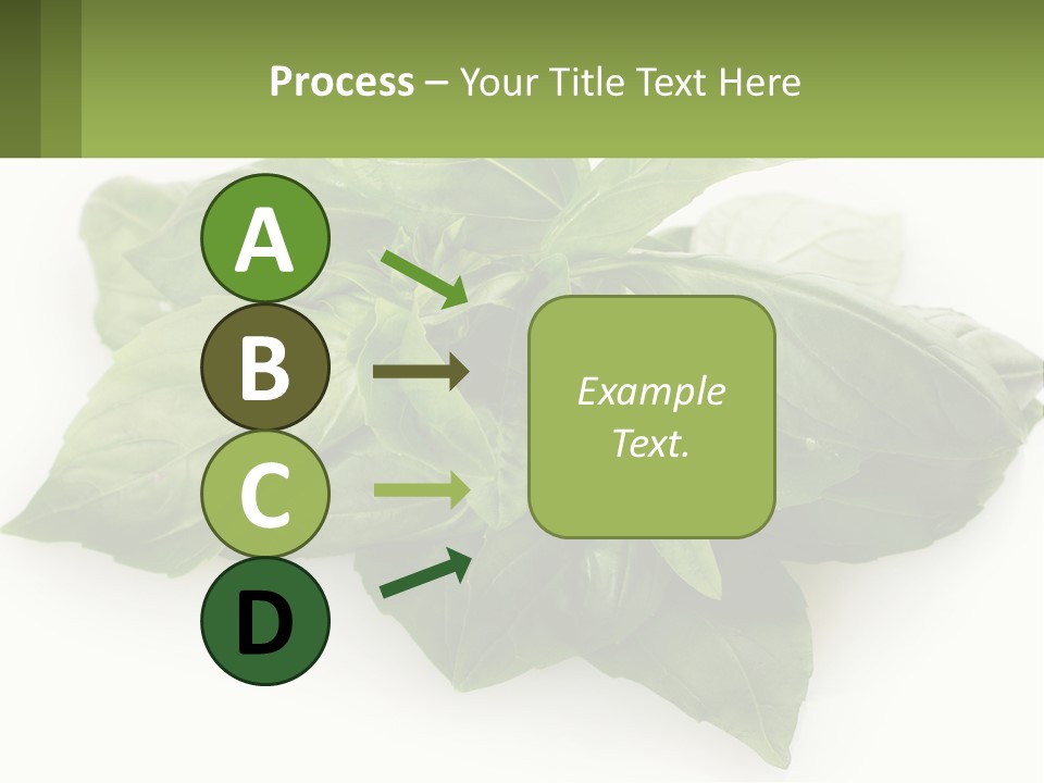 A Pile Of Fresh Basil Leaves On A White Background PowerPoint Template