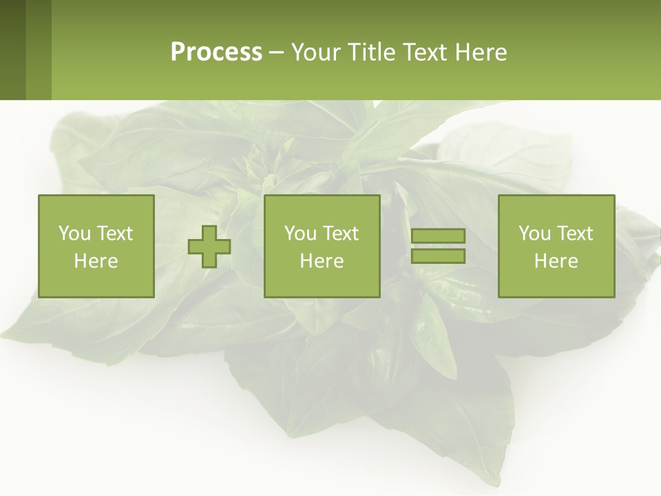 A Pile Of Fresh Basil Leaves On A White Background PowerPoint Template