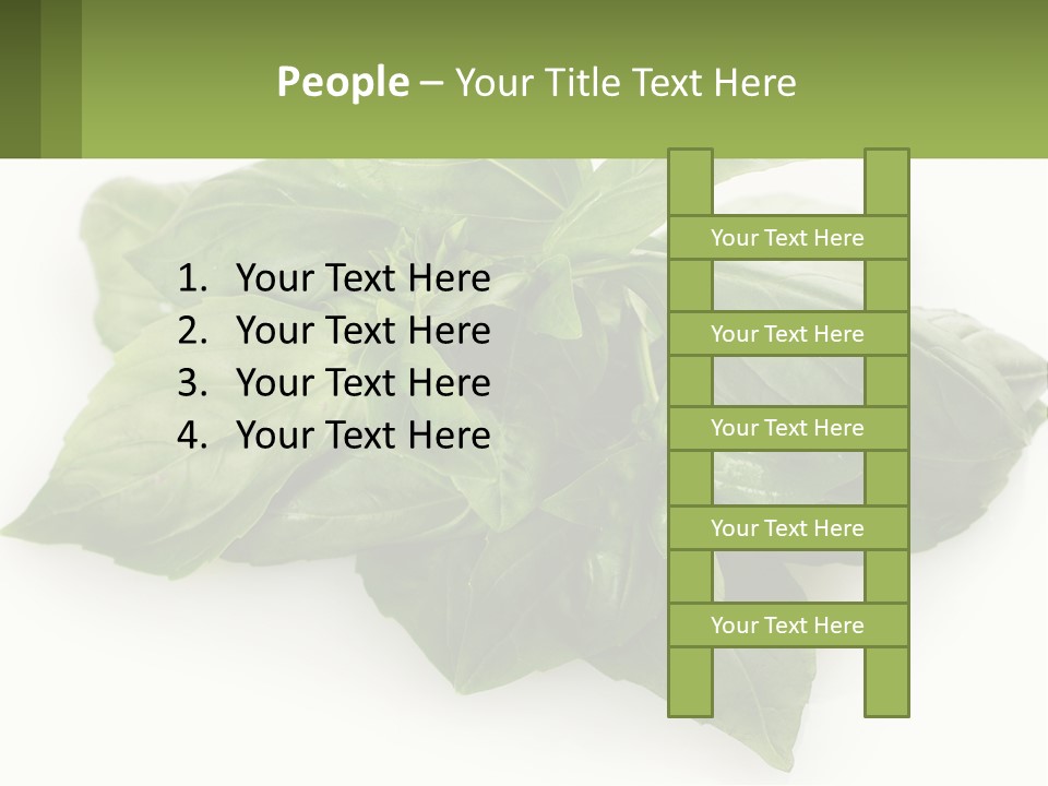 A Pile Of Fresh Basil Leaves On A White Background PowerPoint Template