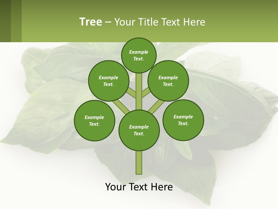 A Pile Of Fresh Basil Leaves On A White Background PowerPoint Template