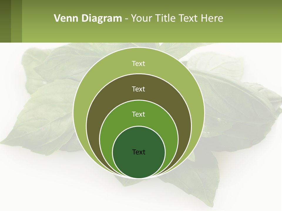 A Pile Of Fresh Basil Leaves On A White Background PowerPoint Template