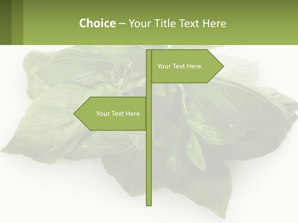A Pile Of Fresh Basil Leaves On A White Background PowerPoint Template