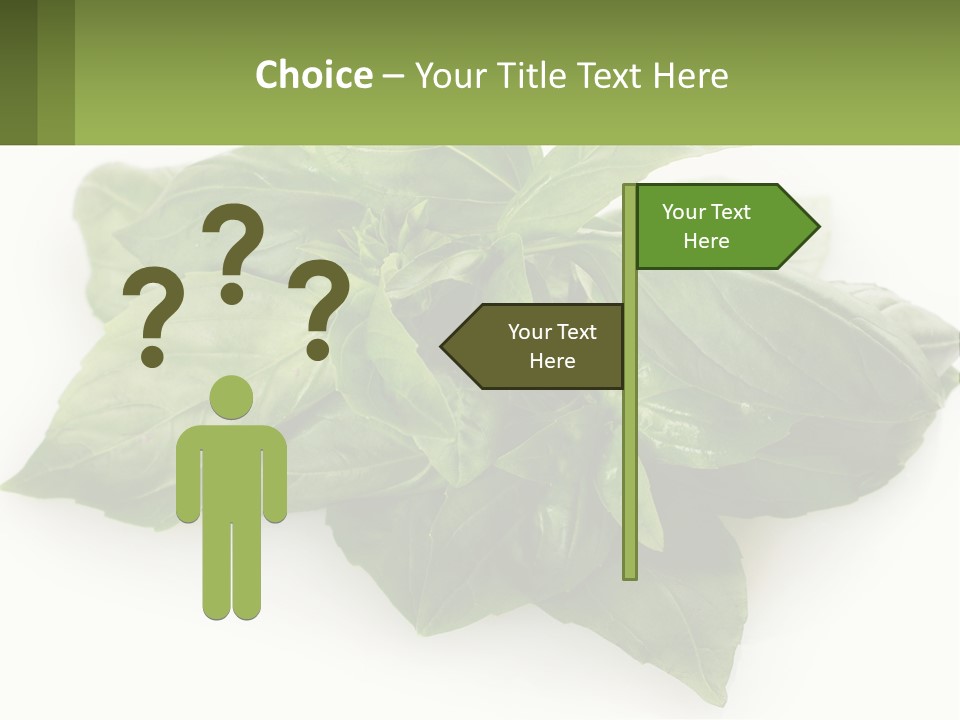 A Pile Of Fresh Basil Leaves On A White Background PowerPoint Template