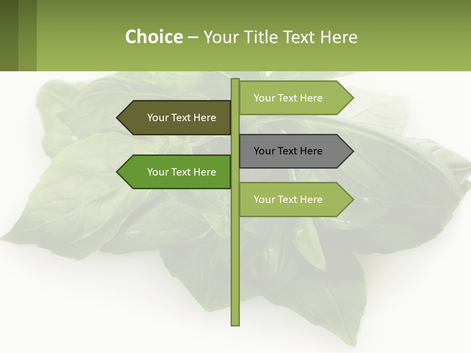 A Pile Of Fresh Basil Leaves On A White Background PowerPoint Template