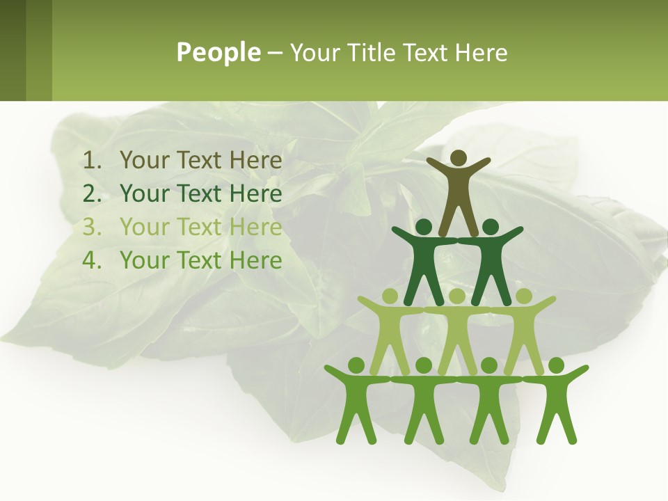 A Pile Of Fresh Basil Leaves On A White Background PowerPoint Template