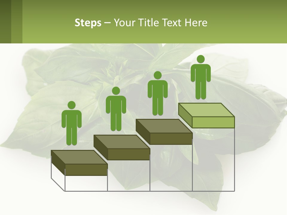 A Pile Of Fresh Basil Leaves On A White Background PowerPoint Template