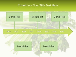 A Bunch Of Celery Sitting On Top Of A Table PowerPoint Template
