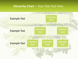 A Bunch Of Celery Sitting On Top Of A Table PowerPoint Template