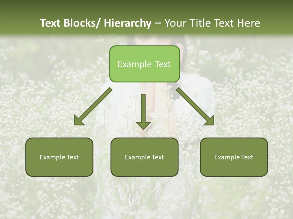 A Woman Standing In A Field Of White Flowers PowerPoint Template