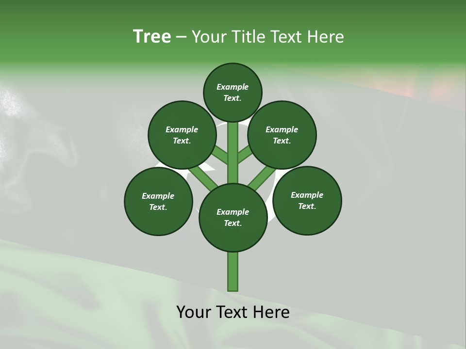 A Flag With A Star And Crescent On It PowerPoint Template