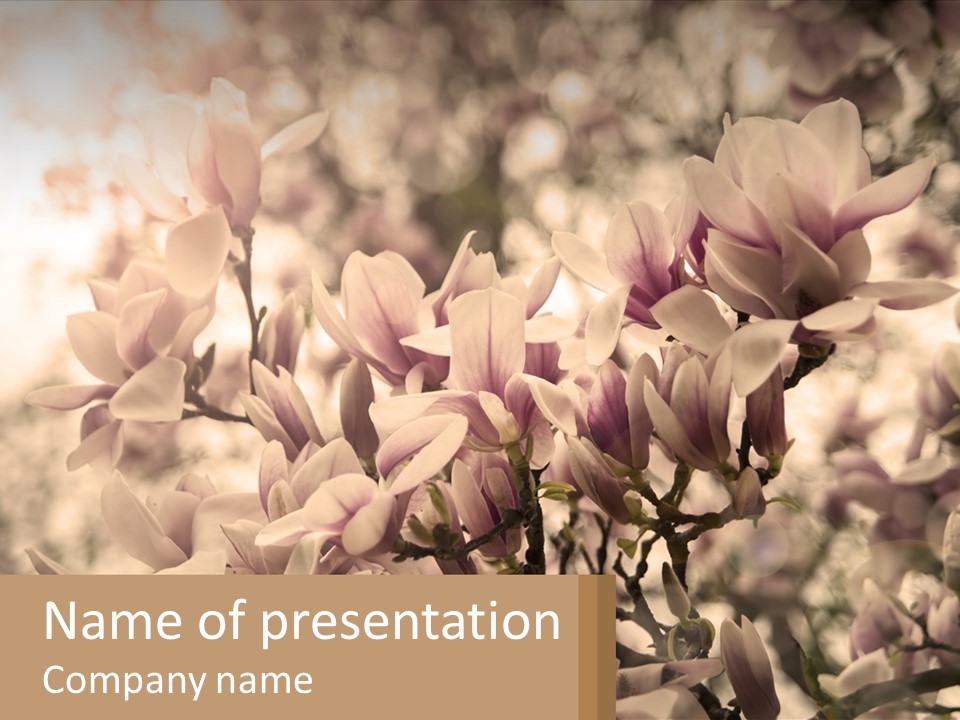 A Bunch Of Flowers That Are In A Vase PowerPoint Template