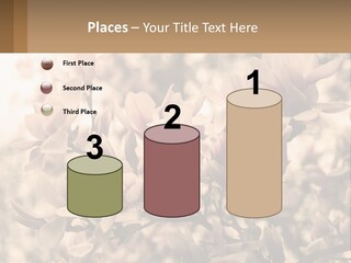 A Bunch Of Flowers That Are In A Vase PowerPoint Template