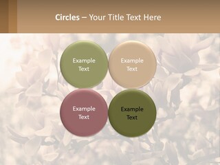 A Bunch Of Flowers That Are In A Vase PowerPoint Template
