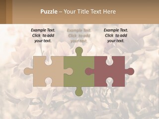 A Bunch Of Flowers That Are In A Vase PowerPoint Template