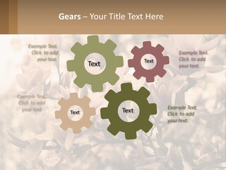 A Bunch Of Flowers That Are In A Vase PowerPoint Template