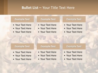 A Bunch Of Flowers That Are In A Vase PowerPoint Template