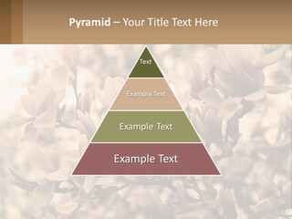 A Bunch Of Flowers That Are In A Vase PowerPoint Template