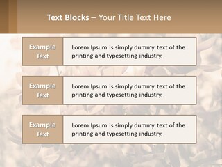 A Bunch Of Flowers That Are In A Vase PowerPoint Template