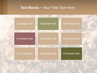 A Bunch Of Flowers That Are In A Vase PowerPoint Template