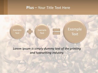 A Bunch Of Flowers That Are In A Vase PowerPoint Template