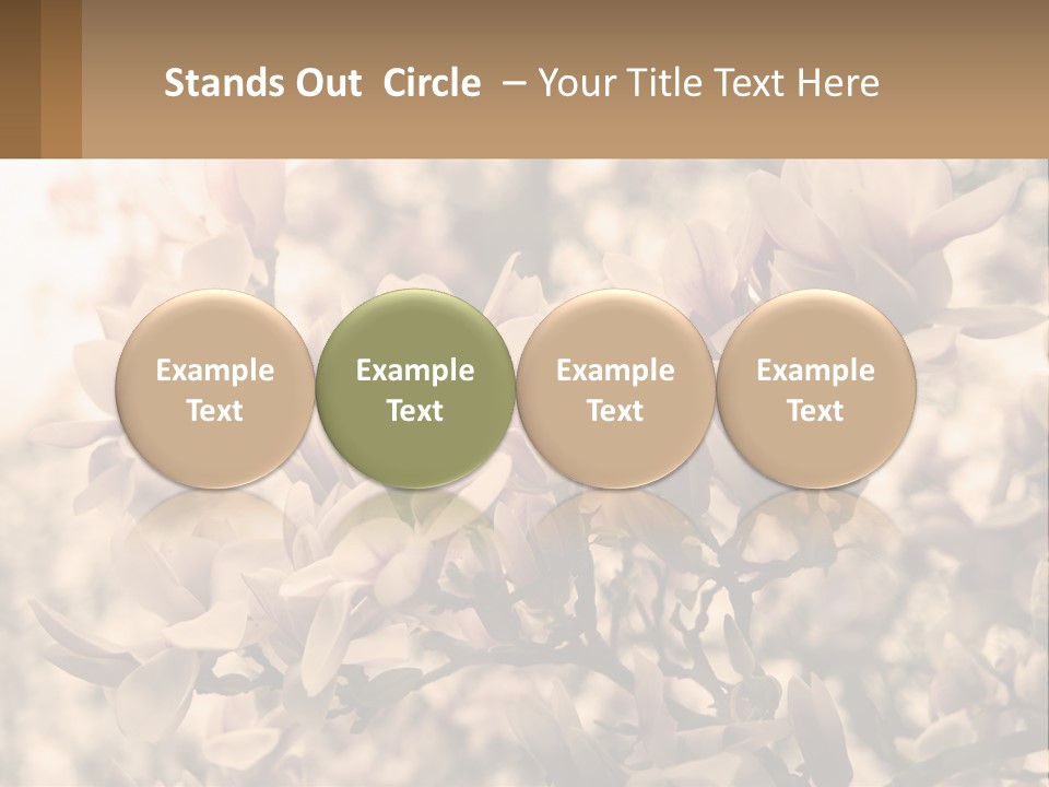 A Bunch Of Flowers That Are In A Vase PowerPoint Template