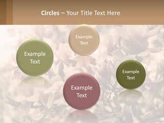A Bunch Of Flowers That Are In A Vase PowerPoint Template