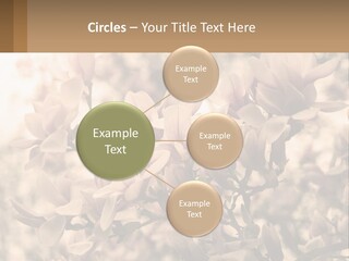 A Bunch Of Flowers That Are In A Vase PowerPoint Template