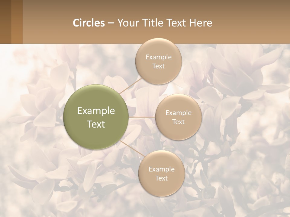 A Bunch Of Flowers That Are In A Vase PowerPoint Template