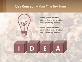 A Bunch Of Flowers That Are In A Vase PowerPoint Template