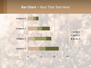 A Bunch Of Flowers That Are In A Vase PowerPoint Template